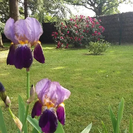 Grande Maison Avec Jardin Arbore *
